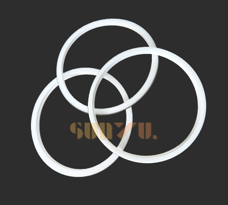 3032835 3034428 3034427 Set Wiper Seal Ring 3032835 for Sodick EDM Machine Consumables